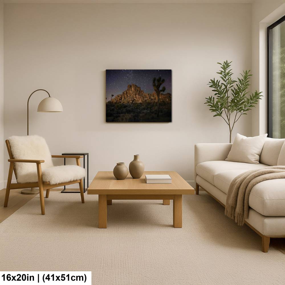 Joshua Tree At Night