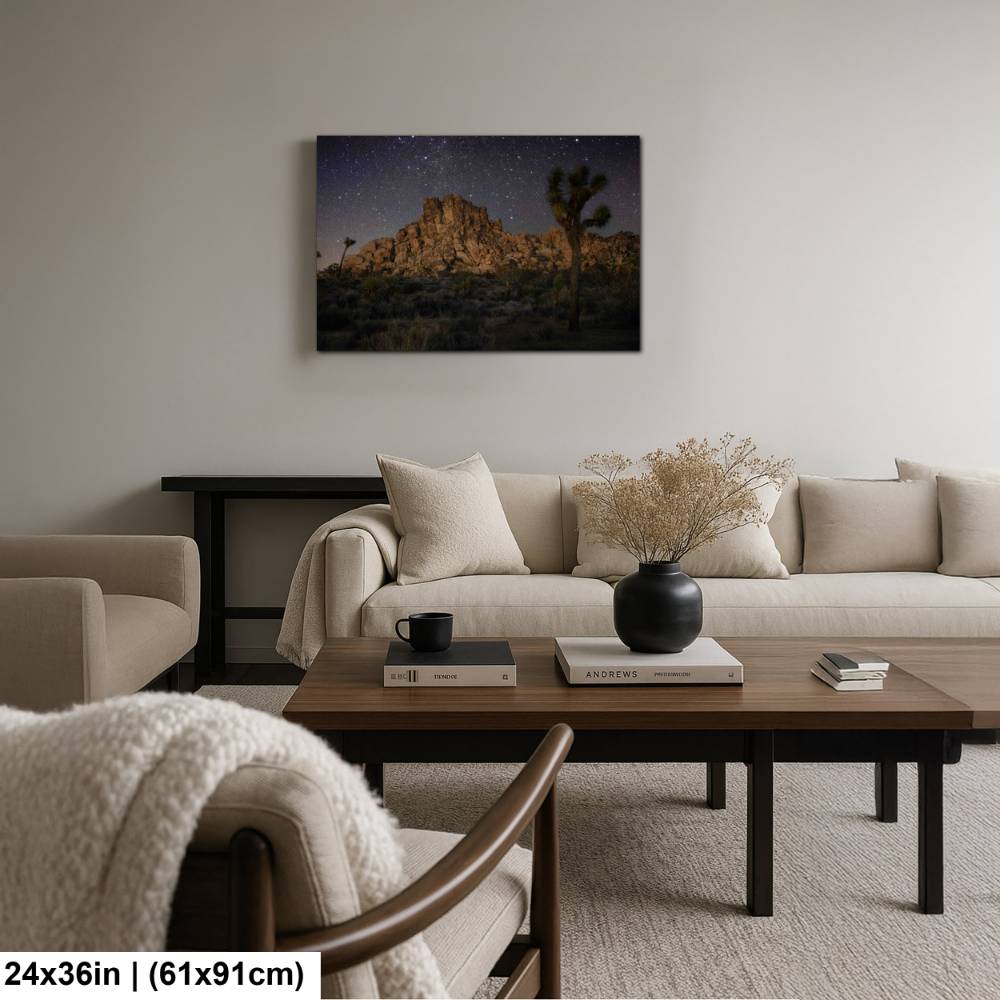 Joshua Tree At Night