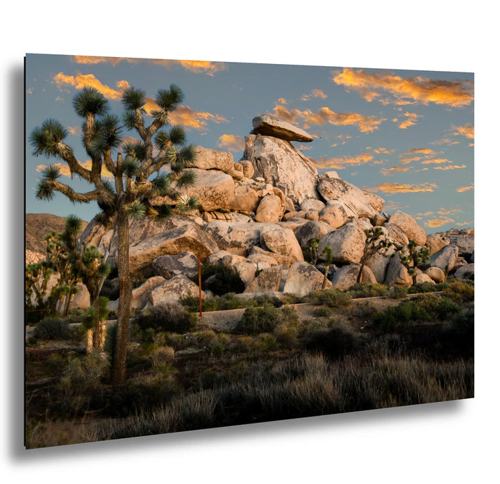 Joshua Tree National Park golden hour sunset with massive granite boulders, desert vegetation, and colorful sky landscape photography.