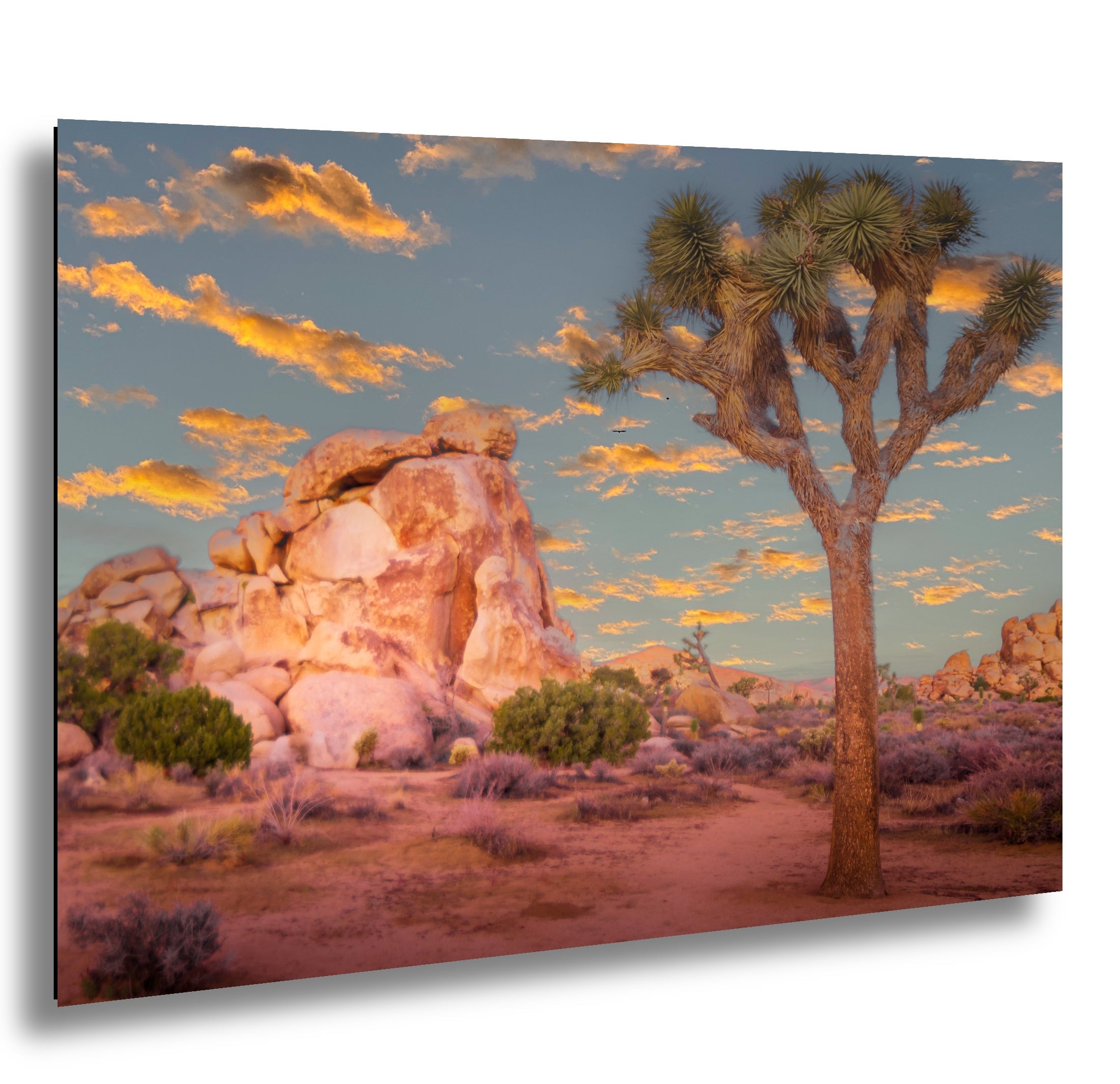 Photographer holding 16x20 inch Joshua Tree golden hour sunset print on neutral background.