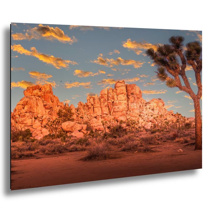 Joshua Tree golden hour with pink rock formations, Joshua tree, and orange clouds.