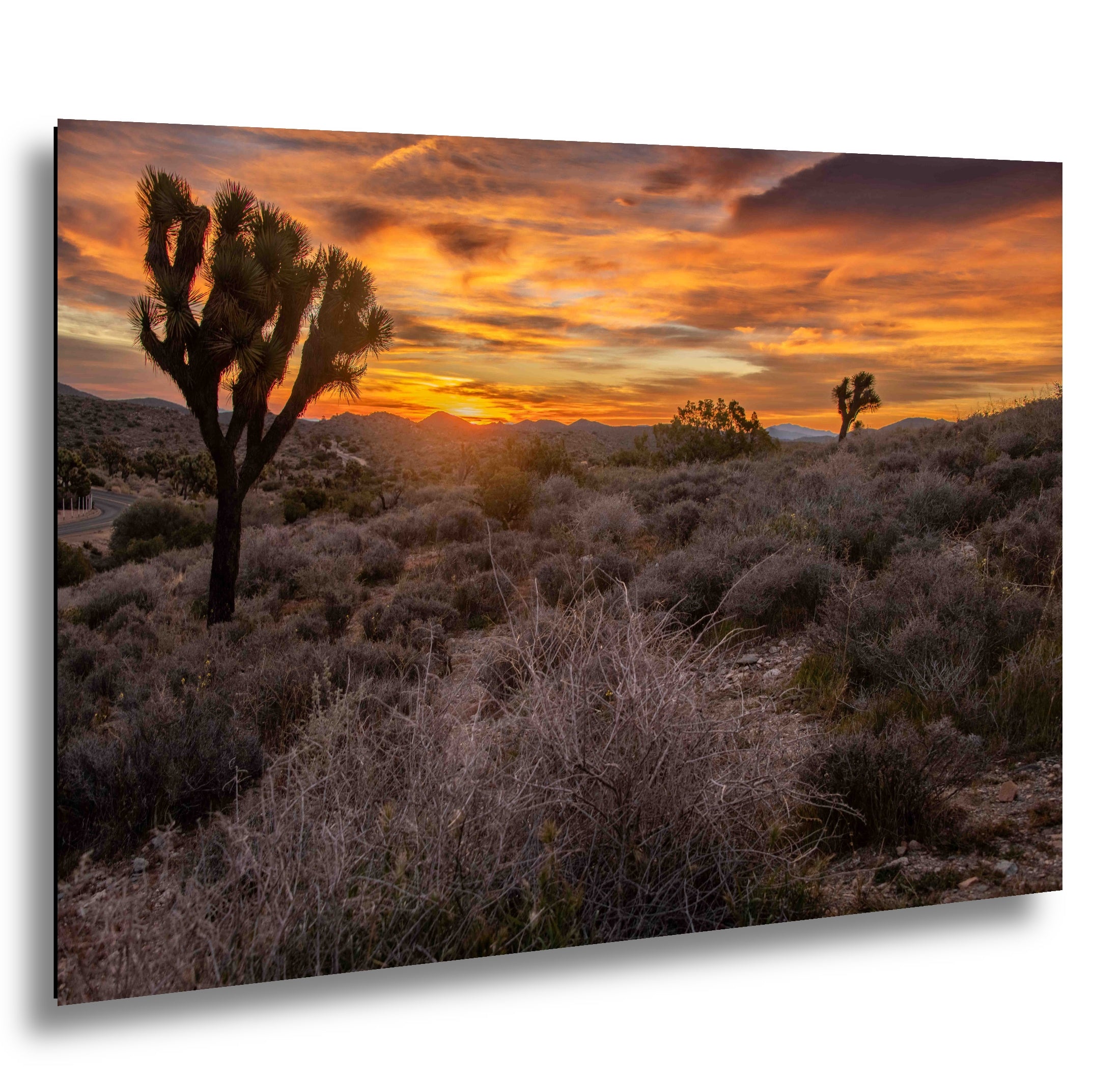 Keys View at Joshua Tree National Park