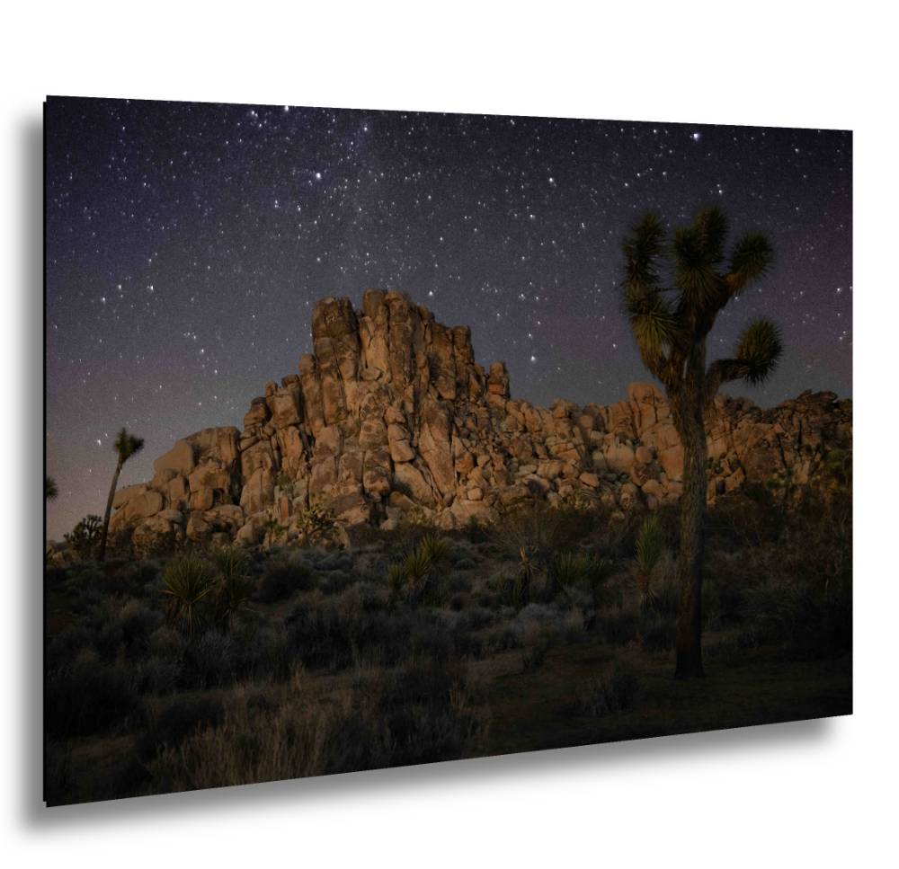 Joshua Tree At Night