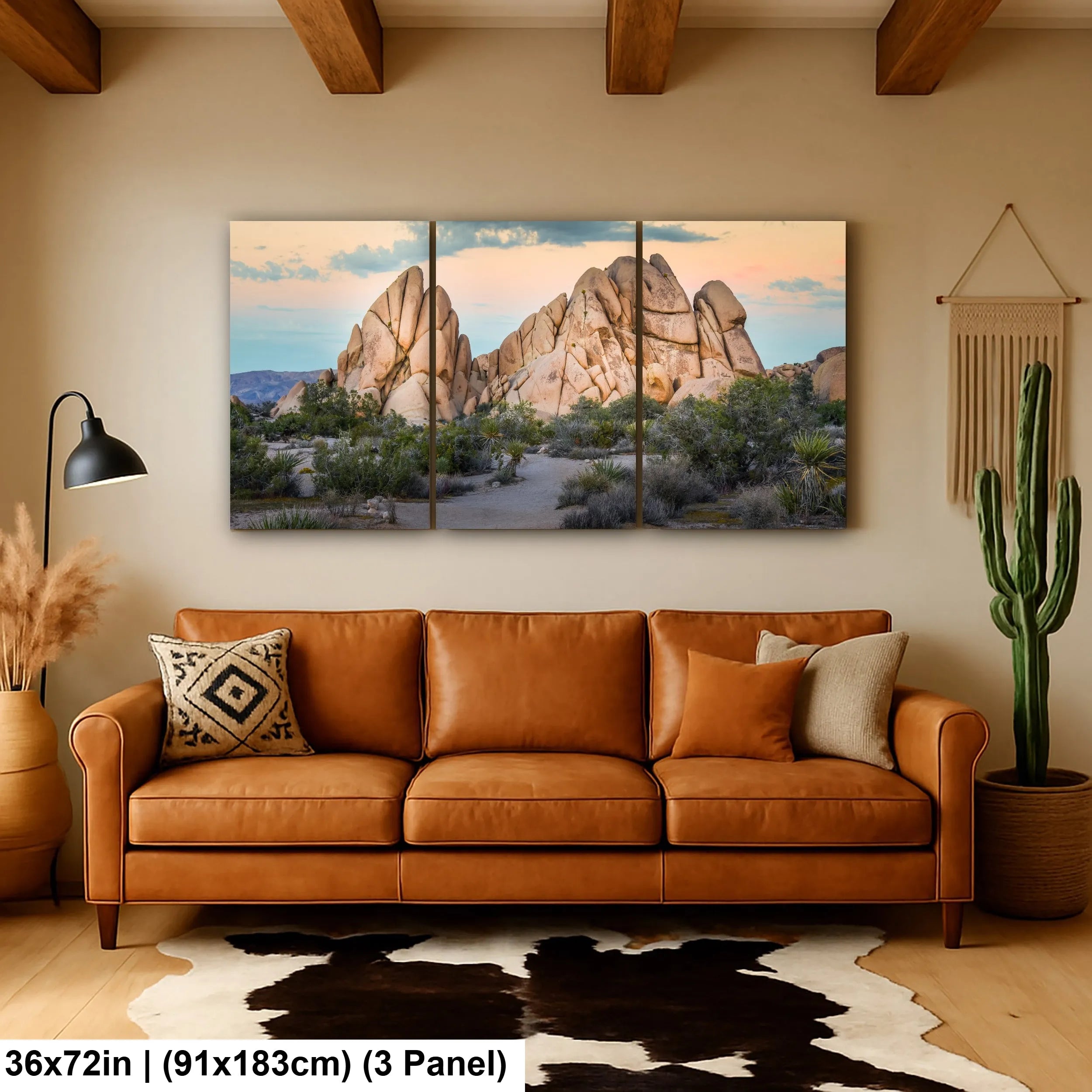 Joshua Tree National Park 3