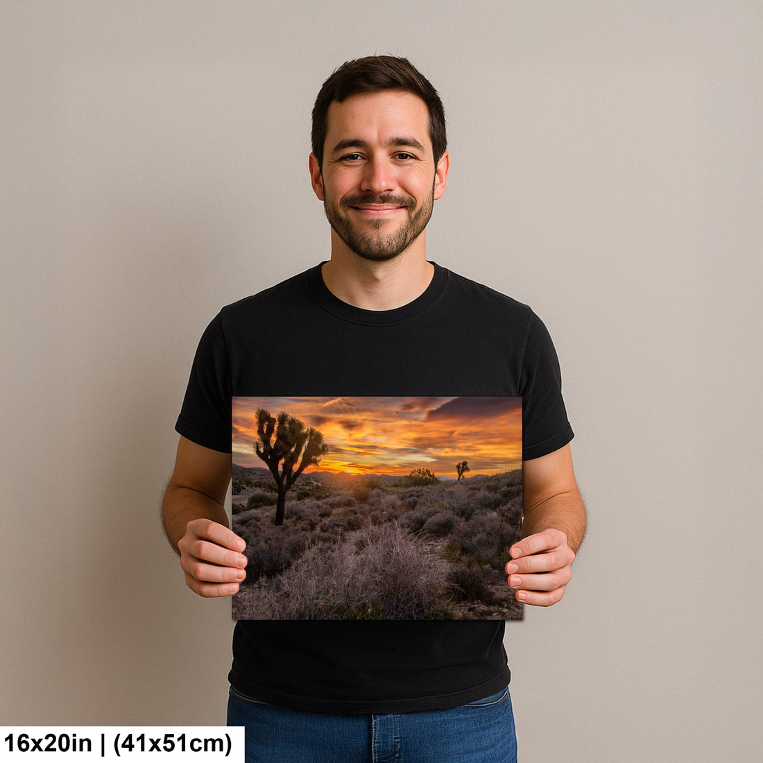 Keys View at Joshua Tree National Park
