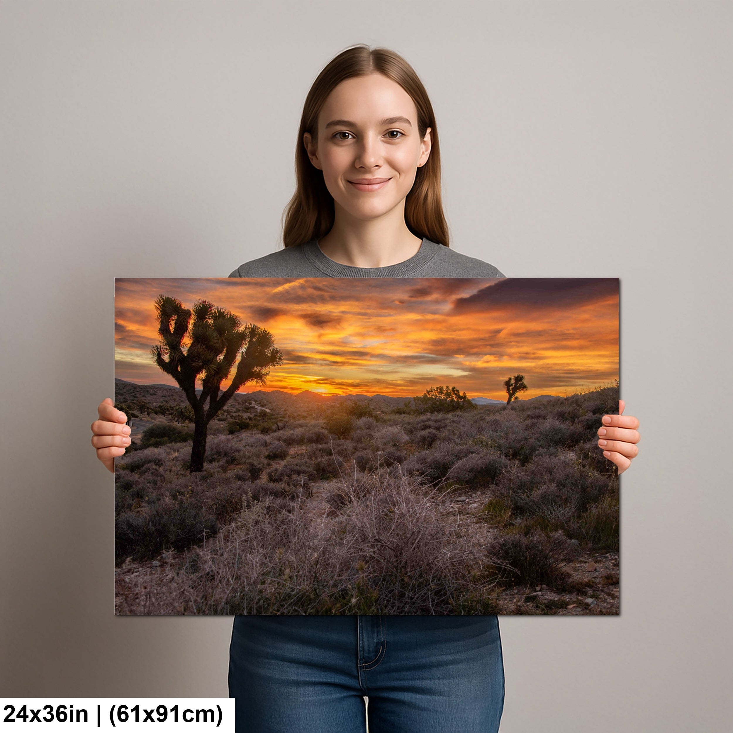 Keys View at Joshua Tree National Park