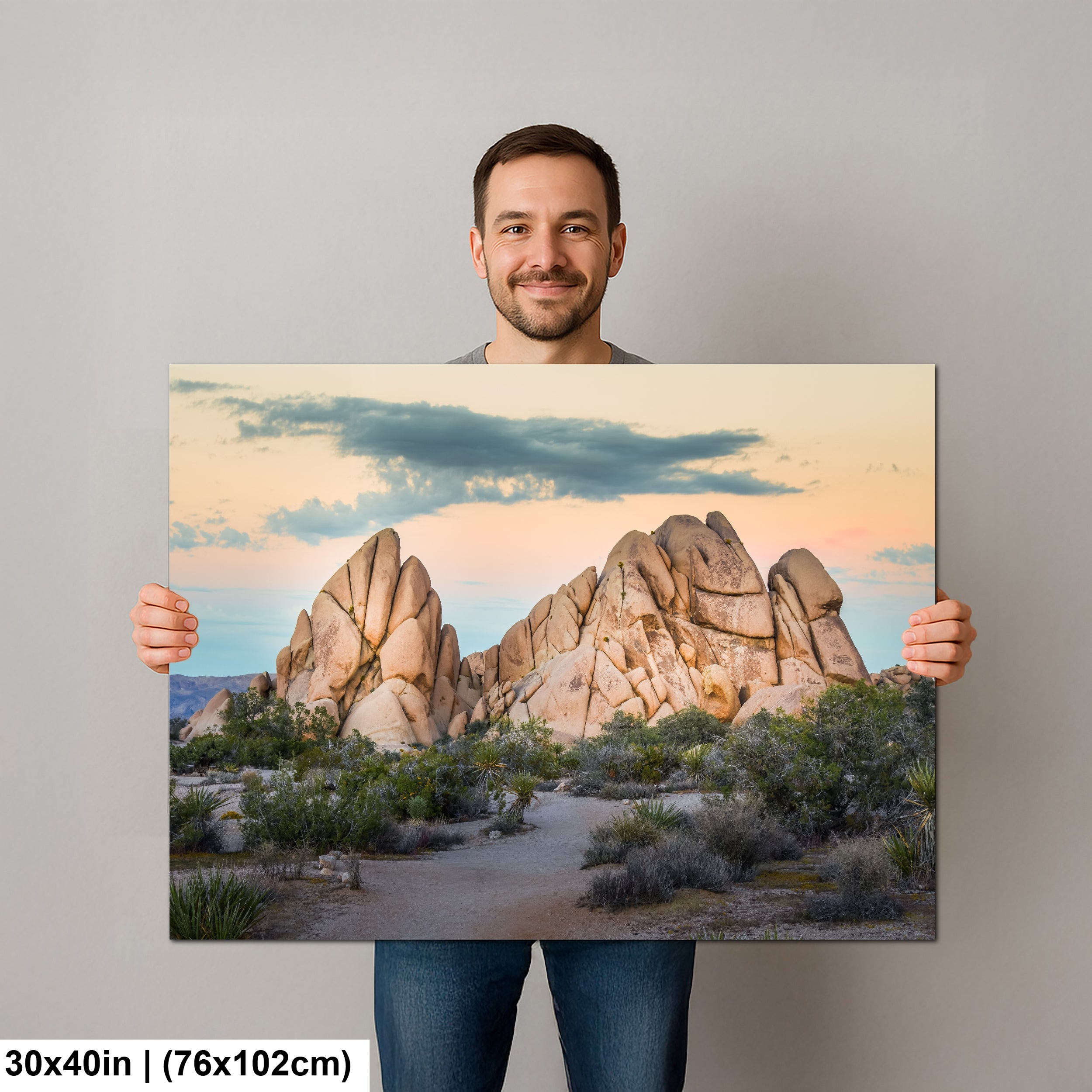 Joshua Tree National Park 3