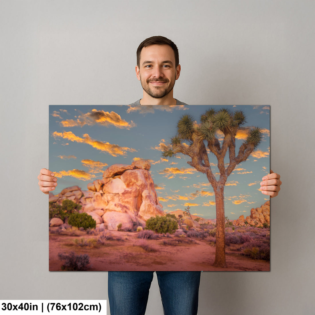 Joshua Tree National Park 2