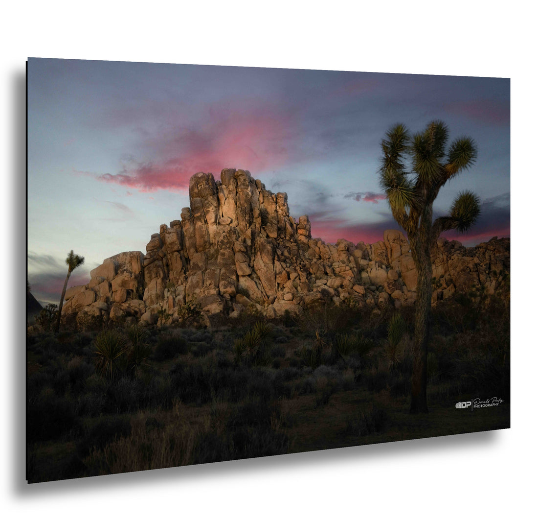 Joshua Tree National Park at Sunset