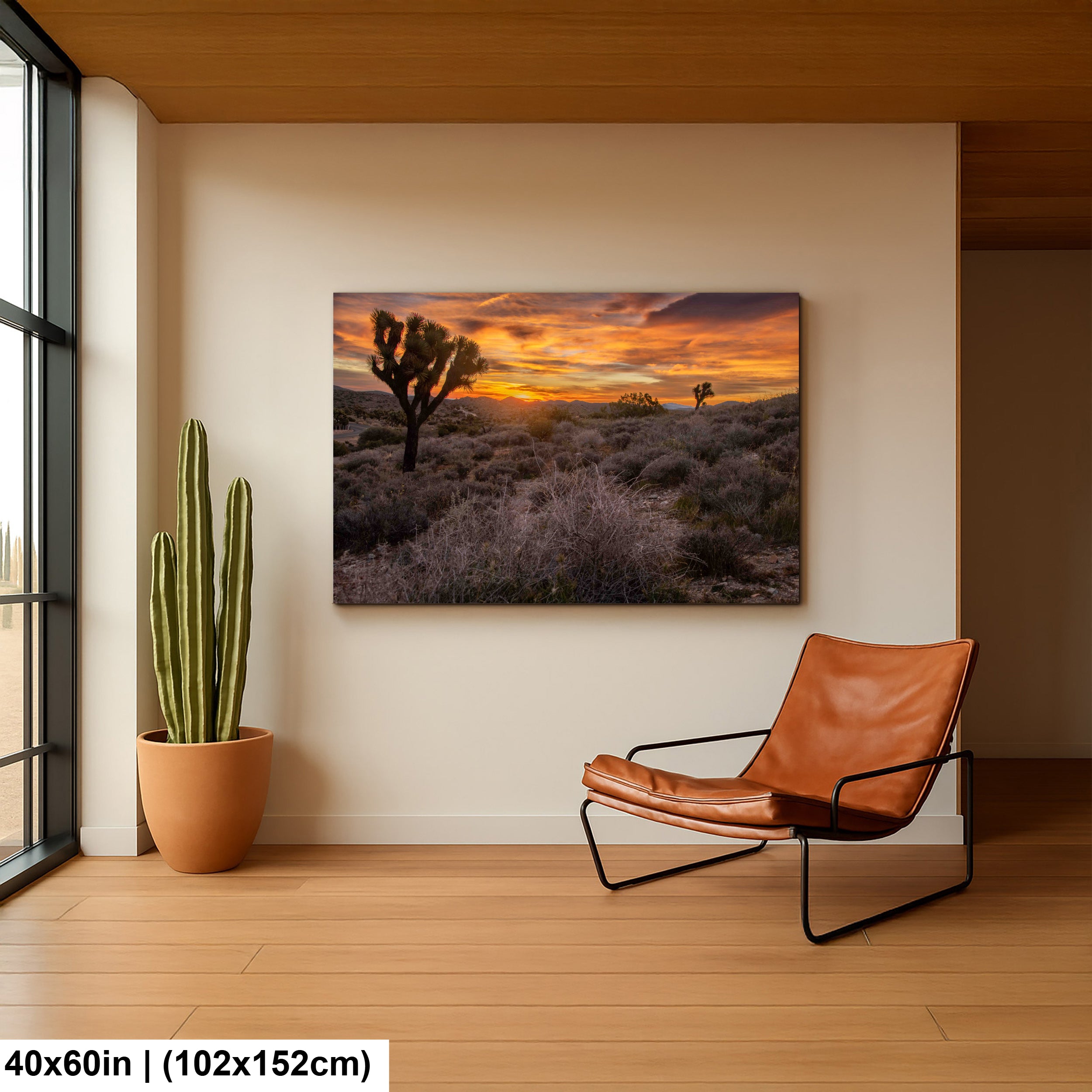 Keys View at Joshua Tree National Park