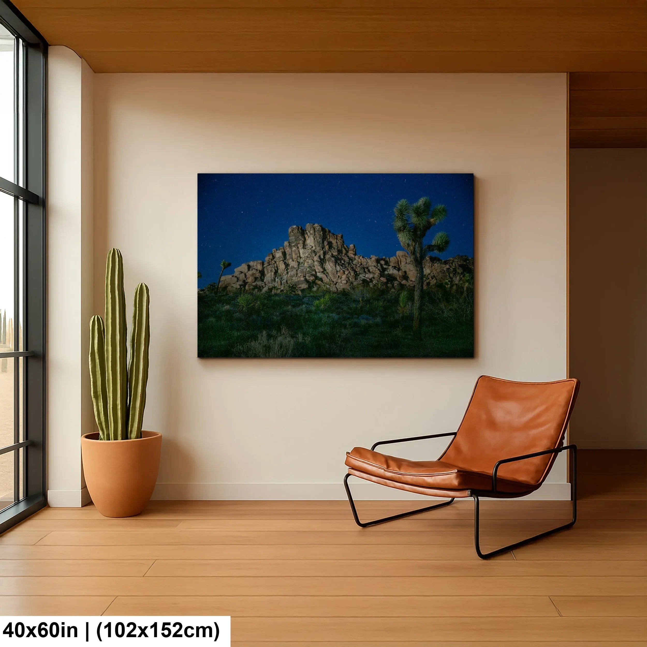 Astro-photography i Joshua Tree National park - Donald Purdey Photography